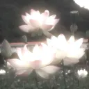 ayosynk_