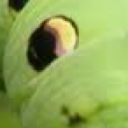 avatar shshdievNIGGAjshdhejk