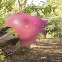 Аватар rikalipton