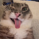 avatar 𝓏ℴ𝓌𝒾𝒾