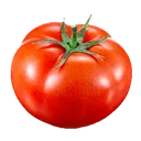 tomato_main
