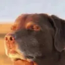 Аватар kiziname.