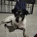 kswkid