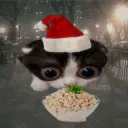 Аватар _divout_