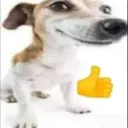 cagueimijandokakskakak avatar