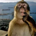 gatoradeguzzlr avatar