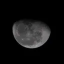 lobitosigma_83365 avatar