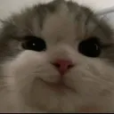 sadbooy0552_09172