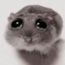 hvorforerduher_81383