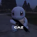 caz_ownit