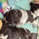 avatar 𐙚♡ Delulu ♡𐙚