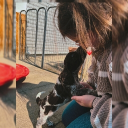 avatar 𝜗𝜚˚ S ˚𝜗𝜚