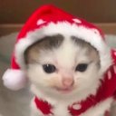 avatar ℳℛ. Christmas