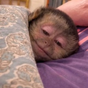 avatar ℳℛ. Wonderful