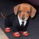 avatar ℳℛ. Wonderful