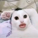 yodaofsoda