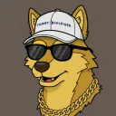 dsethmc