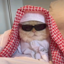𝒢ℋ 𝗅 MOSLEH