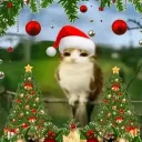 vortex3240698 avatar