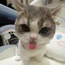 skyydemercadolibre avatar