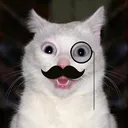 catplusplus