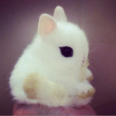 avatar Victoria ౨ৎ