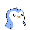 maciussz