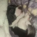 leonardo019888 avatar