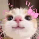 uwuonichan0573 avatar