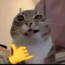 hombresombra211ronisfan avatar