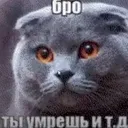 4erv9k.f_86326