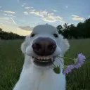 Аватар pemlen.