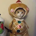 felpsgms_72627 avatar