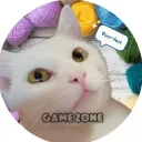 game_zone906
