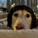 arbeanie