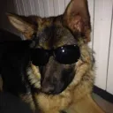 snoutbooper