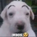 elvenezolano48 avatar