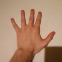 ankjaevel