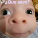 elcable20_55989 avatar