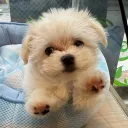 tedward
