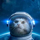 lance_spacecat