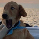 fusioncz#2387's avatar