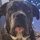 kuba04622 member profile picture