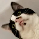 jett.net