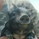 Аватар candy_molocnuizyb