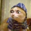 elgranded260556 avatar