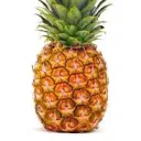 newpineapplechancellery_09833