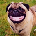 huzzmagnet0785's Avatar