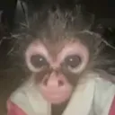 rileykibble2009 avatar