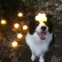 user_vqgy36dmkniawelp member profile picture